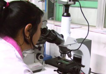 Líneas de investigación 96 ppp